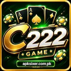 C222 Game