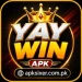 Yaywin Apk Latest Version Logo